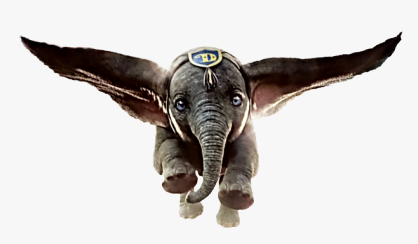 Dumbo, HD Png Download, Free Download