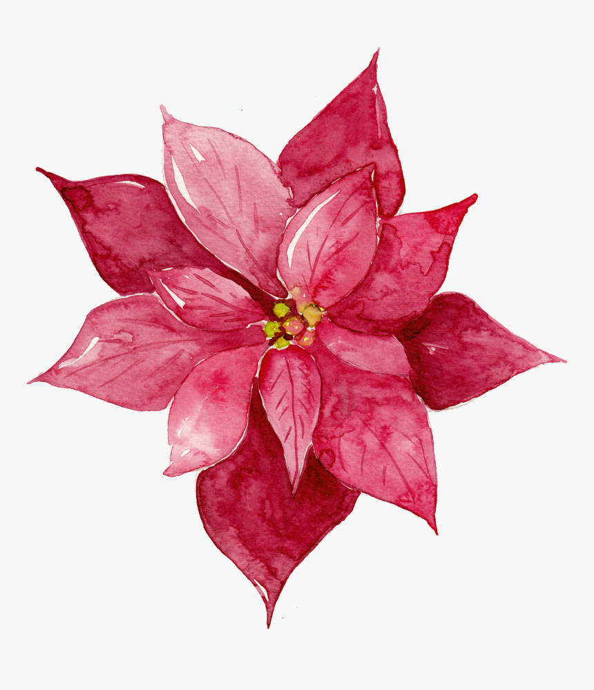 This Graphics Is Red Watercolor Flowers Free Matting - Transparent Watercolor Maroon Flower Png, Png Download, Free Download