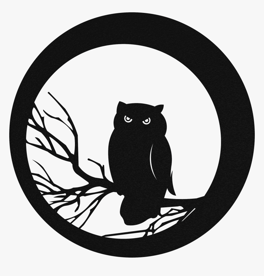 Owl, HD Png Download, Free Download