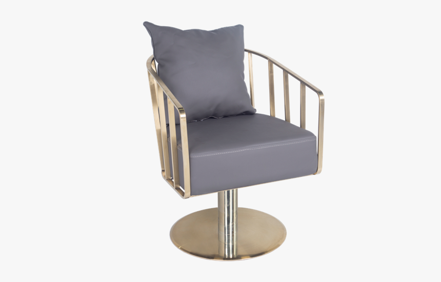 Portable Chrome Gold Circle Base Styling Chair Salon Club Chair
