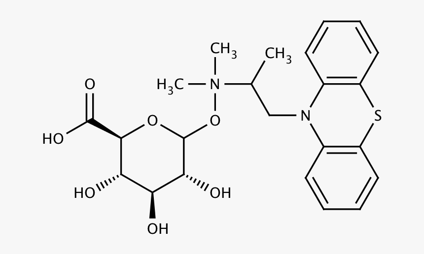 Structure For Promethazine N B D Glucuronide - Cas 3159 04 4 Hs Code, HD Png Download, Free Download