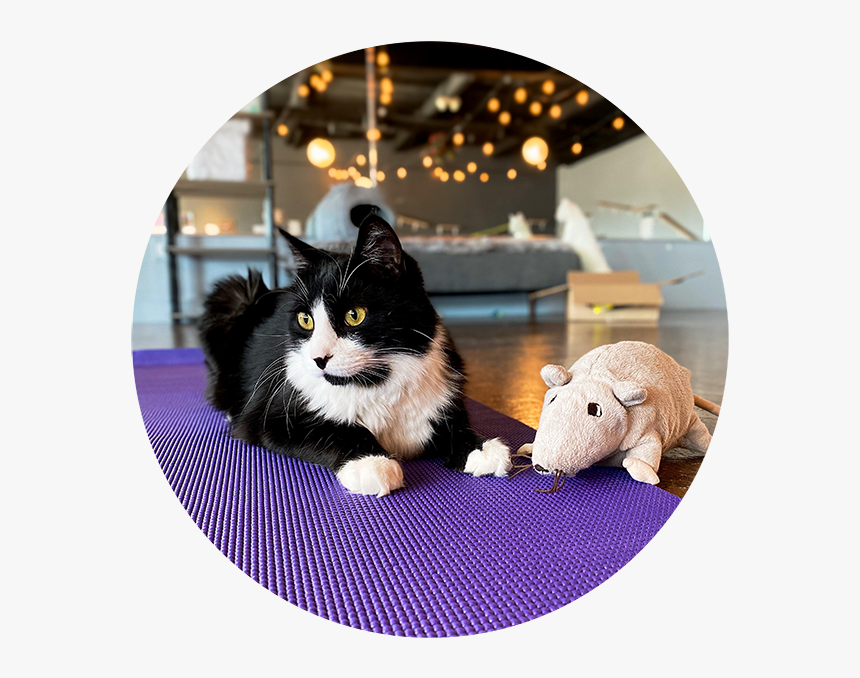 Yogacircle - Ragamuffin, HD Png Download, Free Download