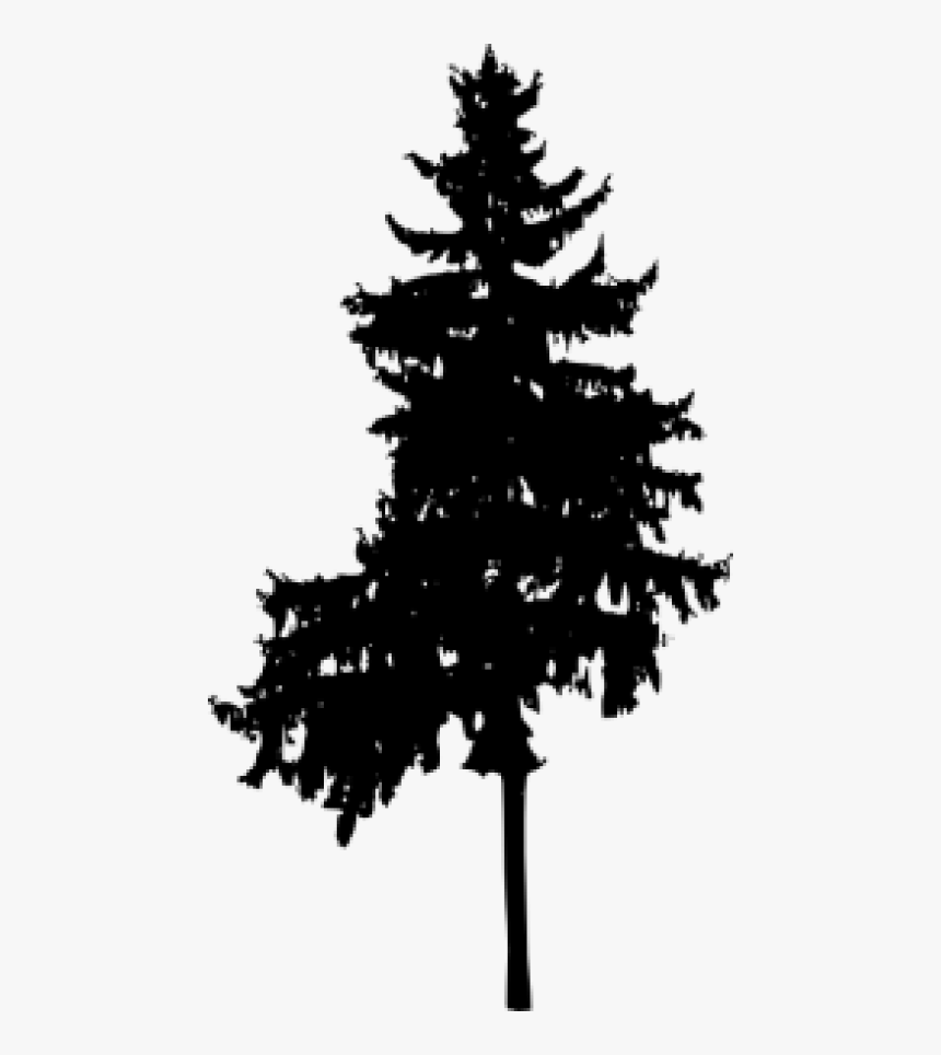 Free Png Pine Tree Silhouette Png Images Transparent - White Pine, Png Download, Free Download
