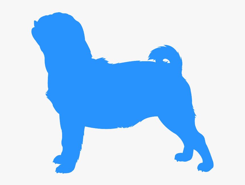 Companion Dog, HD Png Download, Free Download