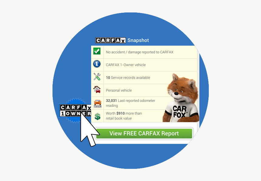 Carfax Snapshot Image - Companion Dog, HD Png Download, Free Download