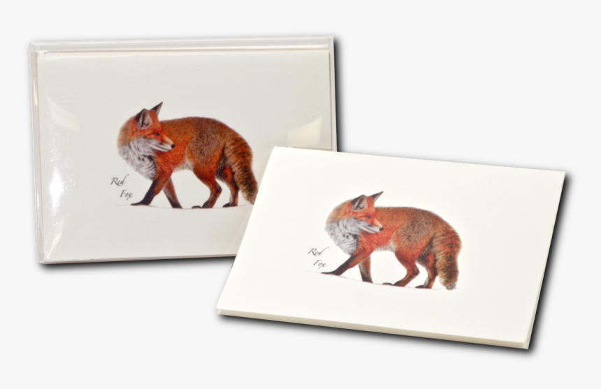 Red Fox, HD Png Download, Free Download