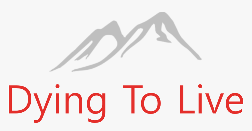 Graphic Design, HD Png Download, Free Download