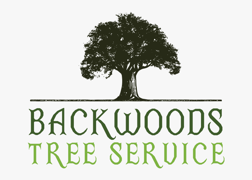 Backwoods Tree Service Logo - Illustration, HD Png Download, Free Download