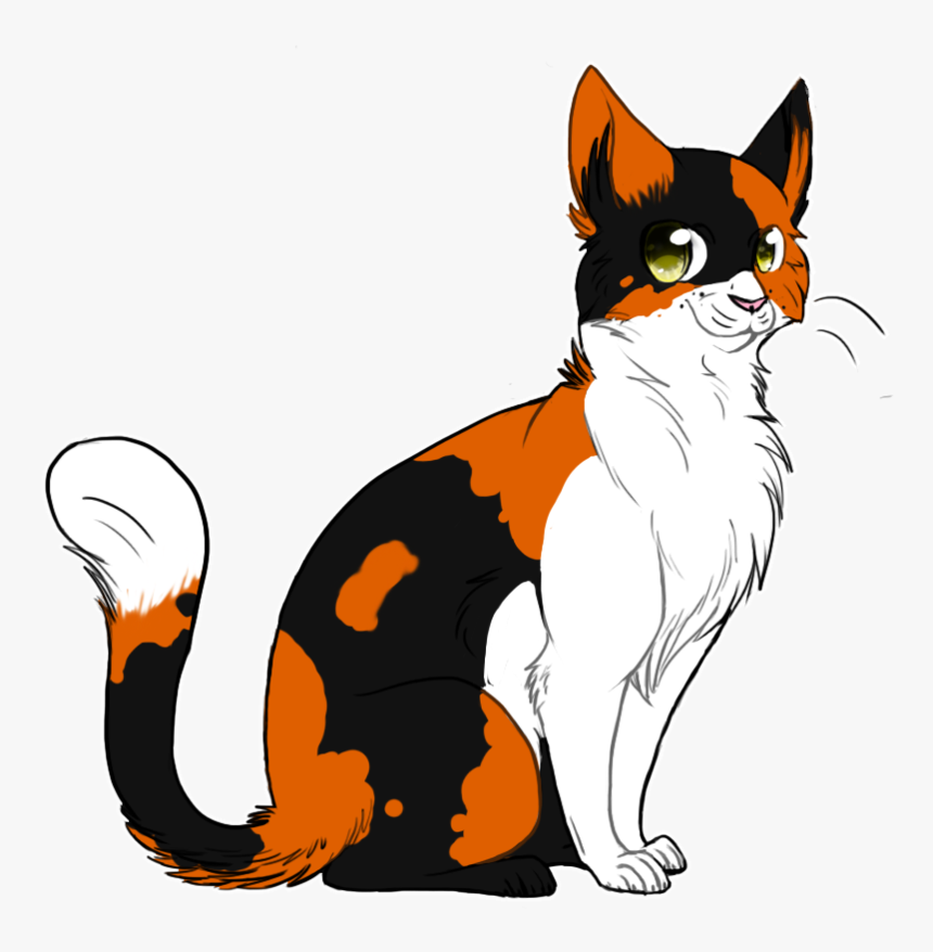 Transparent Cat Drawing Png - Warrior Cats Tortoiseshell Cat, Png Download, Free Download