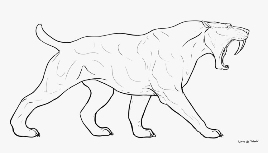 Saber Tooth Cat Drawing , Png Download - Sabertooth Sphinx, Transparent Png, Free Download