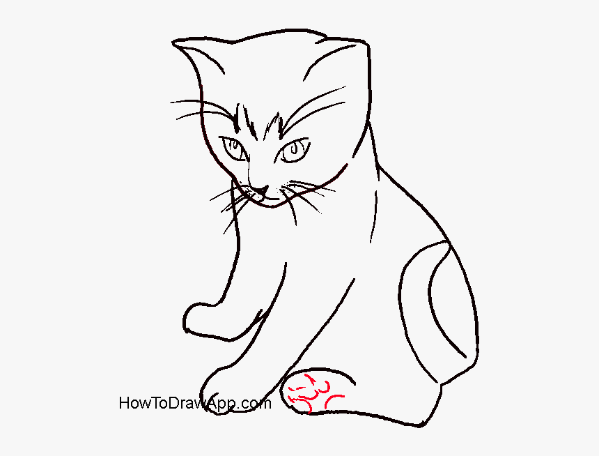 Numbers Drawing Cat - Draw A Small Cat Sitting, HD Png Download, Free Download