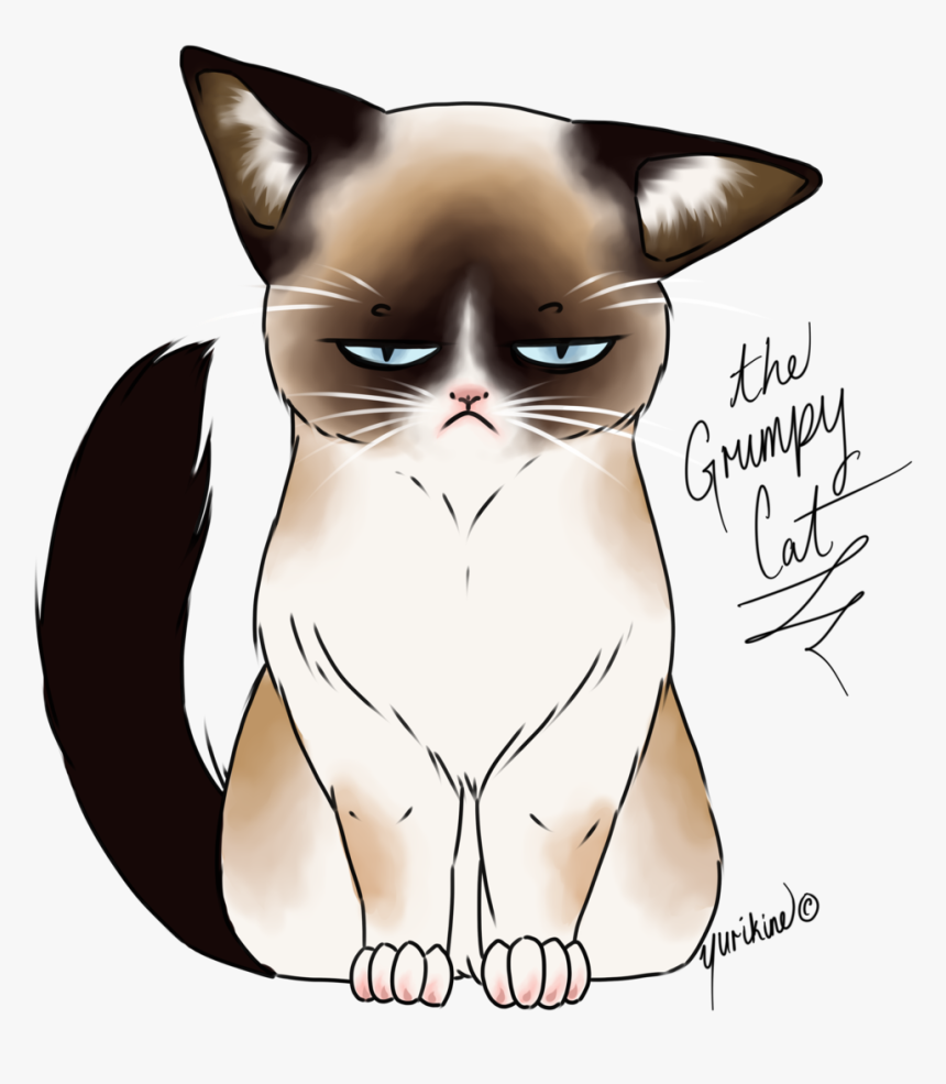 28 Collection Of Kawaii Grumpy Cat Drawing - Kawaii Cute Cat Drawing, HD Png Download, Free Download