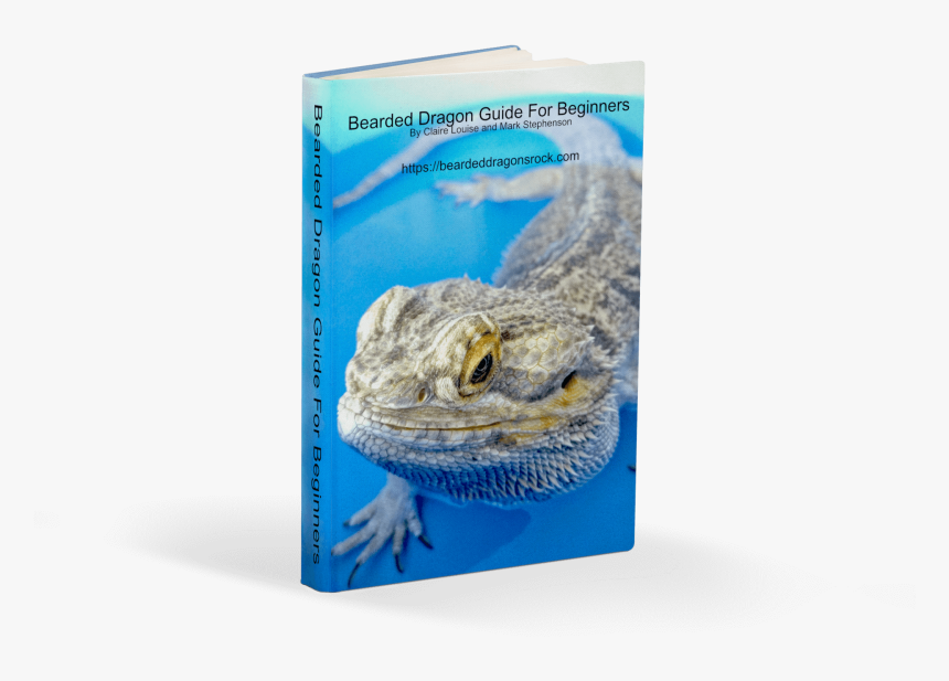 Bearded Dragon , Png Download - Agama, Transparent Png, Free Download