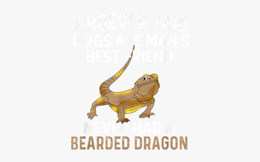 Dragon Lizard, HD Png Download, Free Download