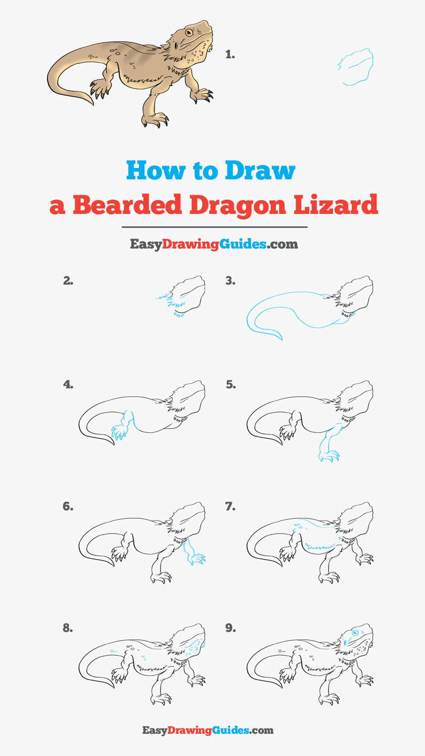 How To Draw Bearded Dragon Lizard - Draw An Angler Fish, HD Png Download, Free Download