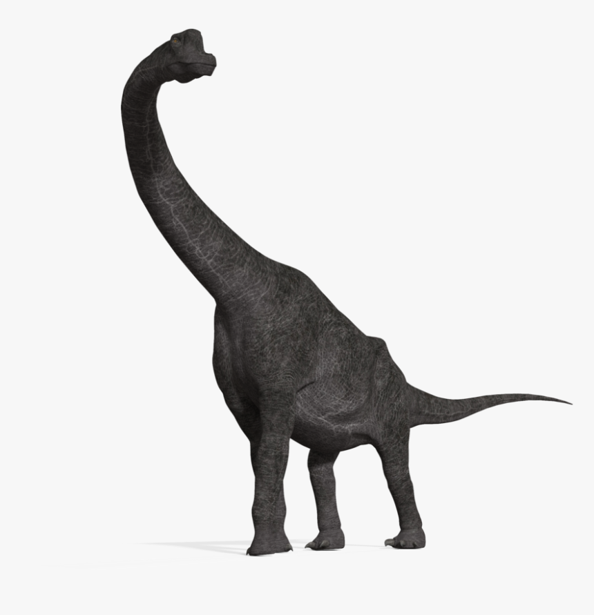 Thumb Image - Brachiosaurus Png, Transparent Png, Free Download