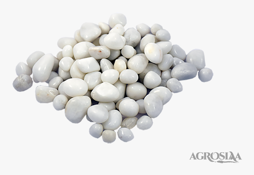 Pill, HD Png Download, Free Download