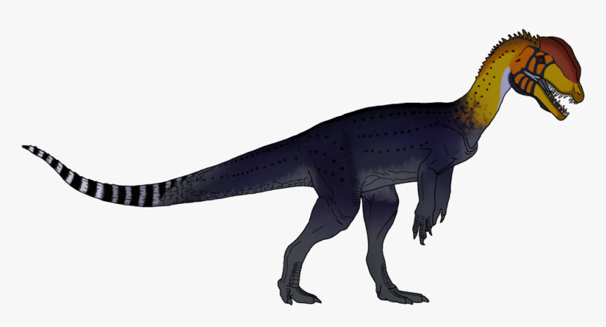Brontosaurus Drawing Brachiosaurus - Isle Dilophosaurus, HD Png Download, Free Download