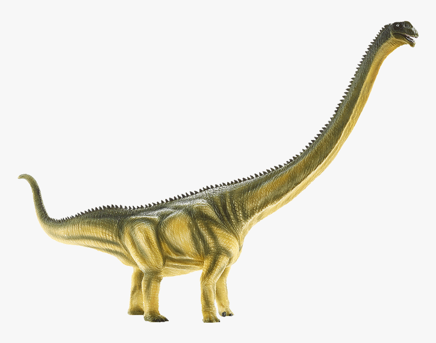 Mamenchisaurus 2020, HD Png Download, Free Download
