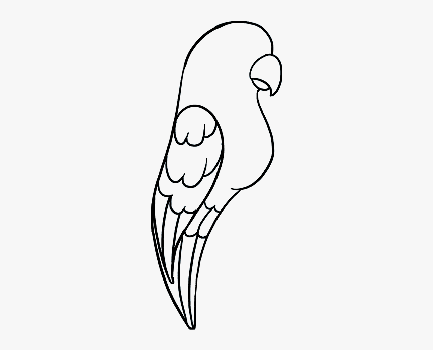 How To Draw A Parrot - Cartoon Parrot Drawing Easy, HD Png Download, Free Download