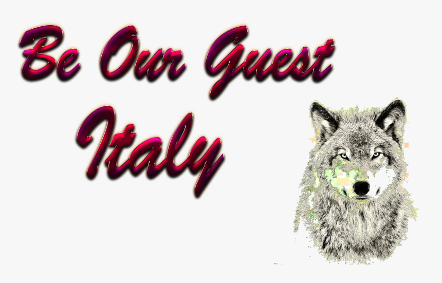 Italy Be Our Guest Slogan Png - Timber Wolf Portrait, Transparent Png, Free Download