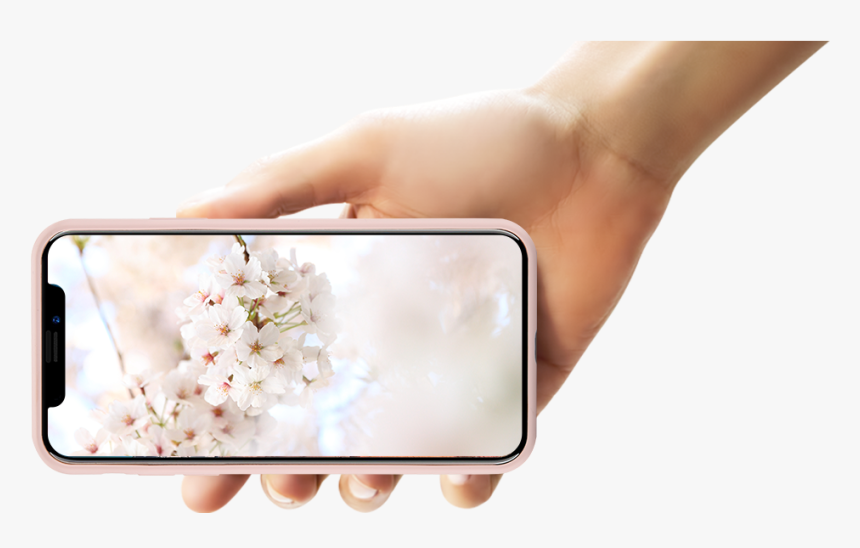 Iphone X Hand Png, Transparent Png, Free Download