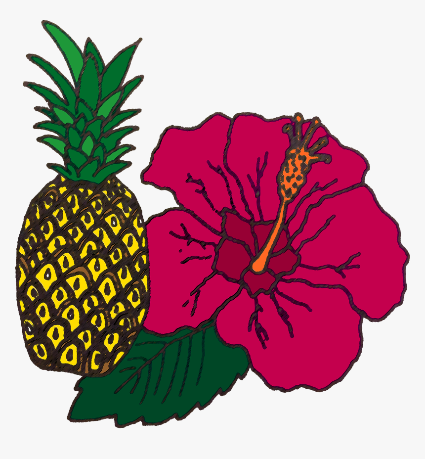 Pineapple & Hibiscus - Pineapple, HD Png Download, Free Download