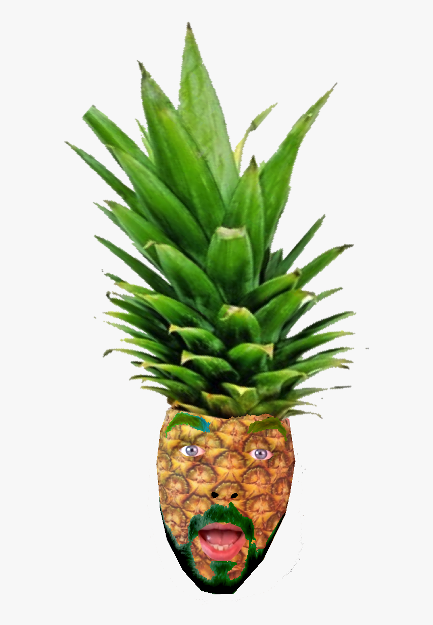 Pineapple, HD Png Download, Free Download