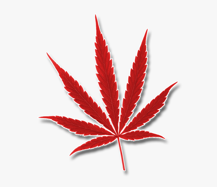 O"cannabiz Top Marijuana Trade Show Awards And Expo - Cannabis, HD Png Download, Free Download
