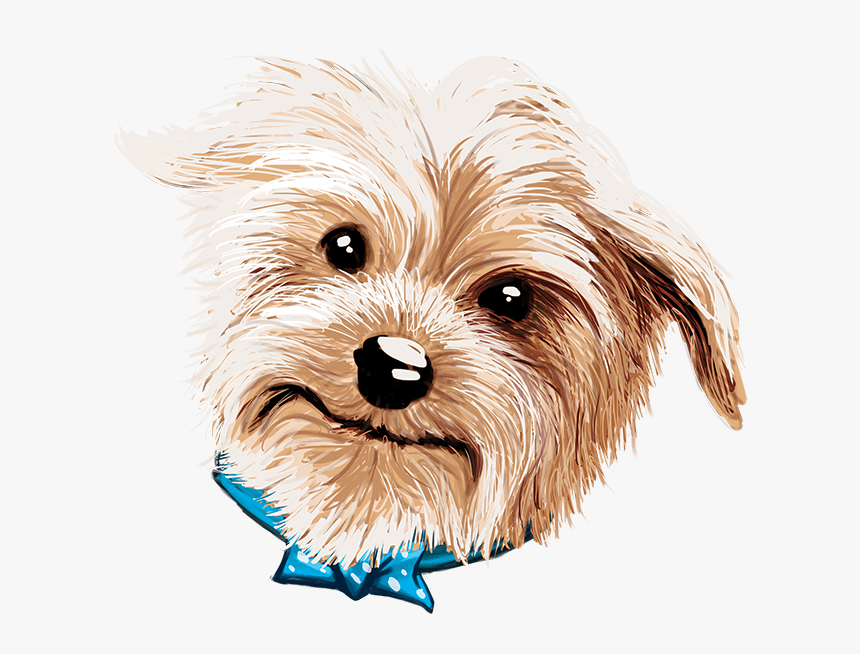 Doggy Drawing Yorkie Png Freeuse Library - Yorkshire Terrier, Transparent Png, Free Download