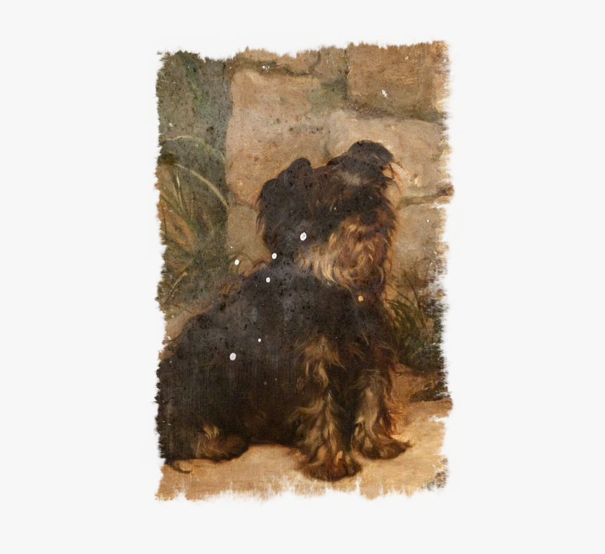 Terrier Yorkshire Color Painting, HD Png Download, Free Download