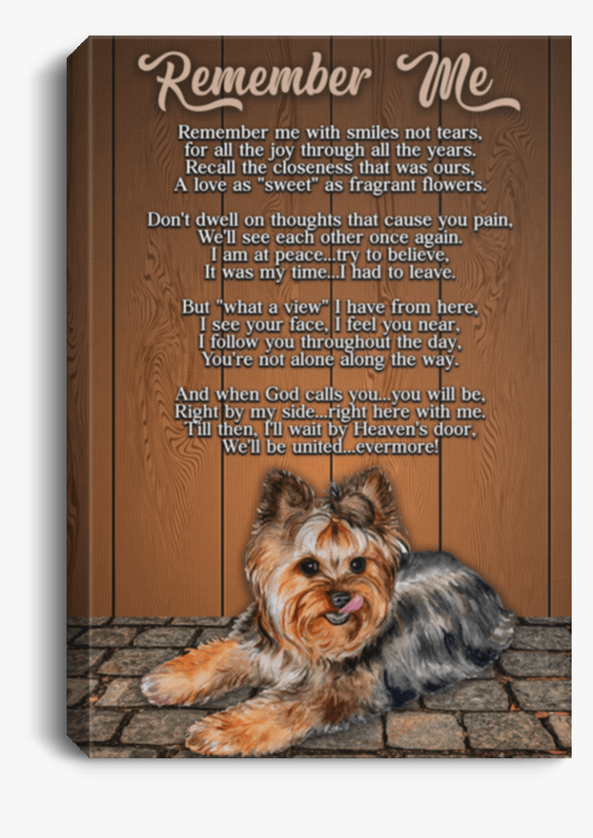 Yorkshire Terrier, HD Png Download, Free Download