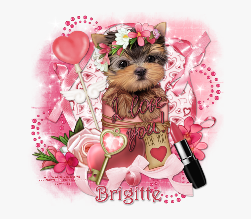 Yorkshire Terrier, HD Png Download, Free Download