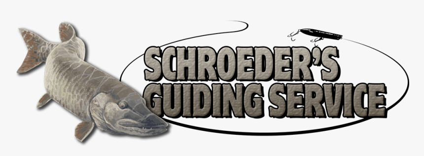 Schroeders Guiding Service - Alligator, HD Png Download, Free Download