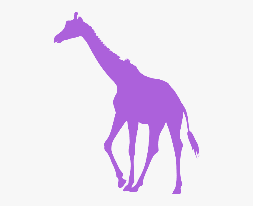 Giraffe Outline Purple, HD Png Download, Free Download