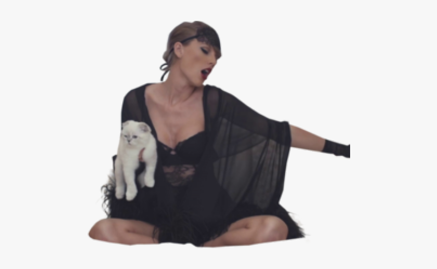 Taylor Swift Png Transparent Images - Taylor Swift Png With Cats, Png Download, Free Download