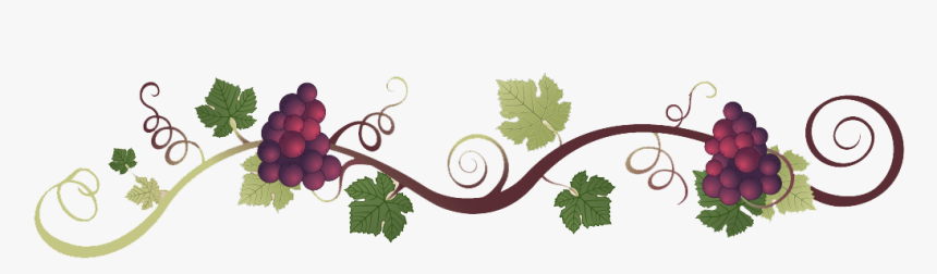 Transparent Background Grape Vine Border, HD Png Download, Free Download