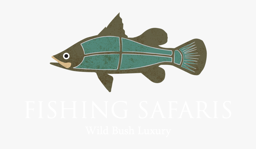 Fishing Safaris - Illustration, HD Png Download, Free Download