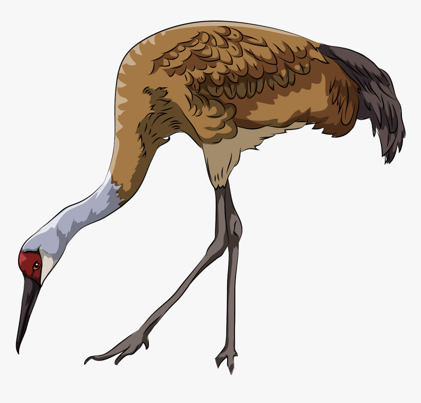 Crane, HD Png Download, Free Download