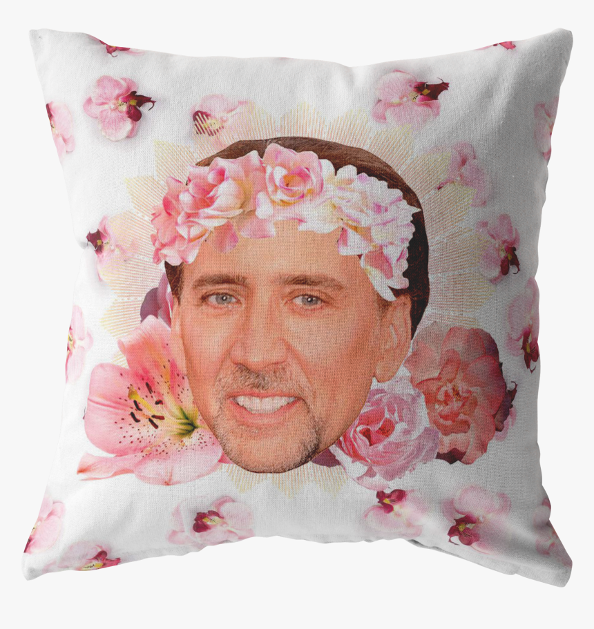 Nicholas Cage Face Memes, HD Png Download, Free Download