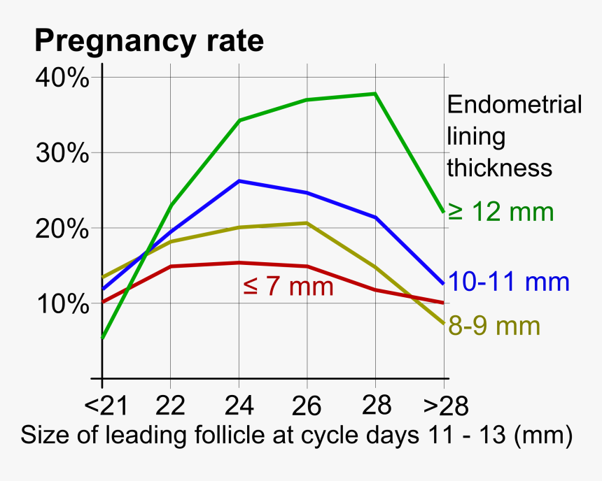 Pregnancy Rate In Ovulation Induction - Pregnancy Rate Italy, HD Png Download, Free Download