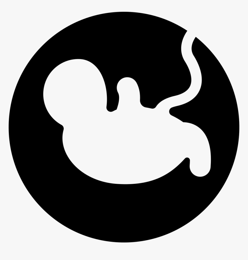 Pregnancy - Reproduction Icon Png, Transparent Png, Free Download