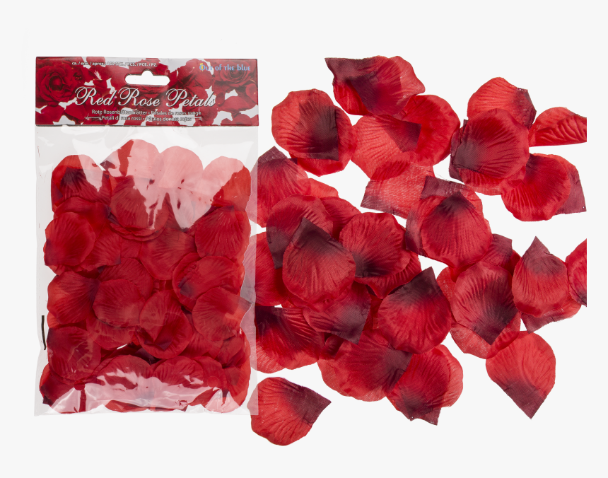 Petal, HD Png Download, Free Download