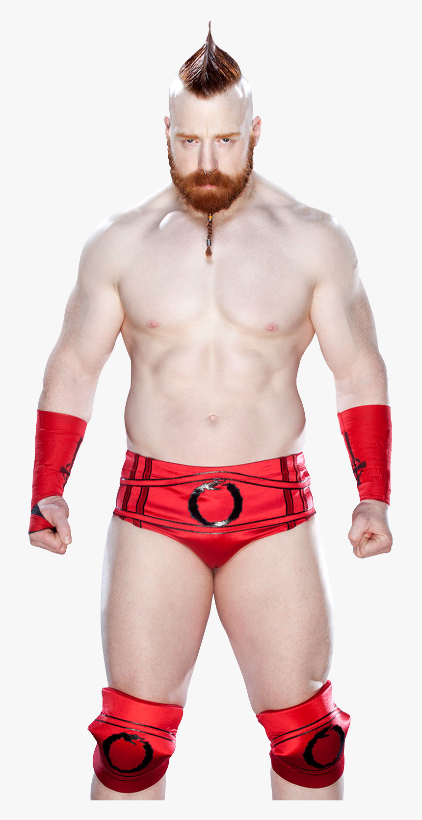 Raw , Png Download - Wwe Universal Champion Sheamus, Transparent Png, Free Download