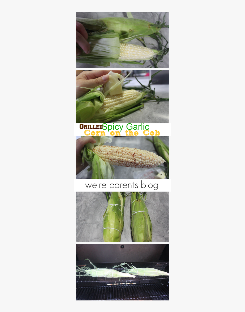 Corn On The Cob, HD Png Download, Free Download