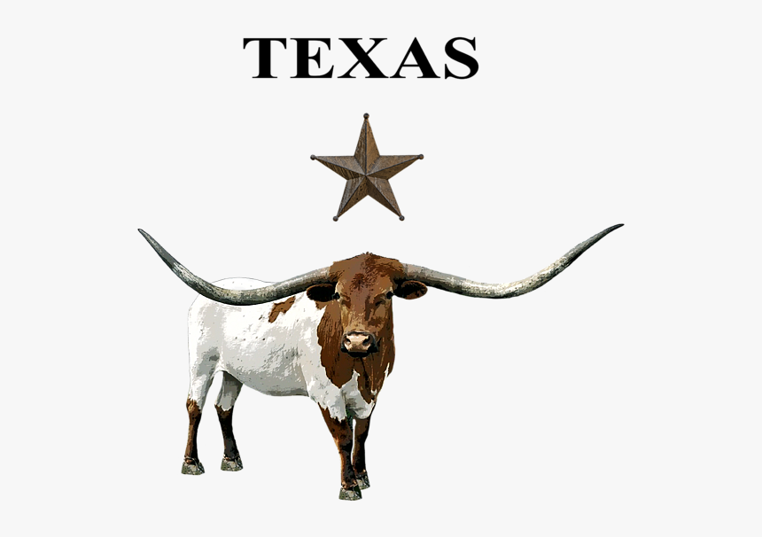 Texas Longhorn Transparent Background, HD Png Download, Free Download