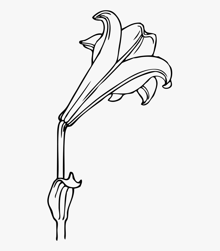 Bermuda Lily Svg Clip Arts - Lily Clip Art, HD Png Download, Free Download