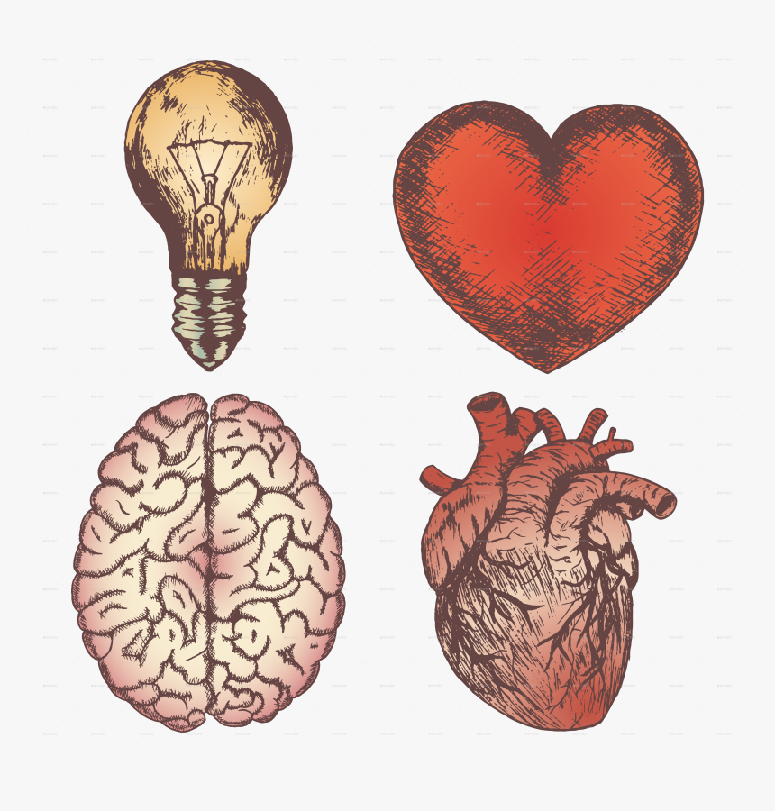 Heart Brain Bulb Sketch Set - Love Brain Drawing, HD Png Download, Free Download