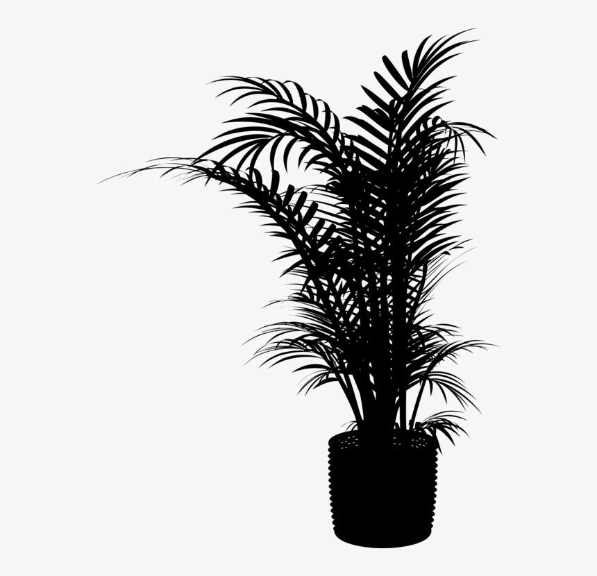 Botany,plant,flower - Indoor Plant Silhouette Png, Transparent Png, Free Download