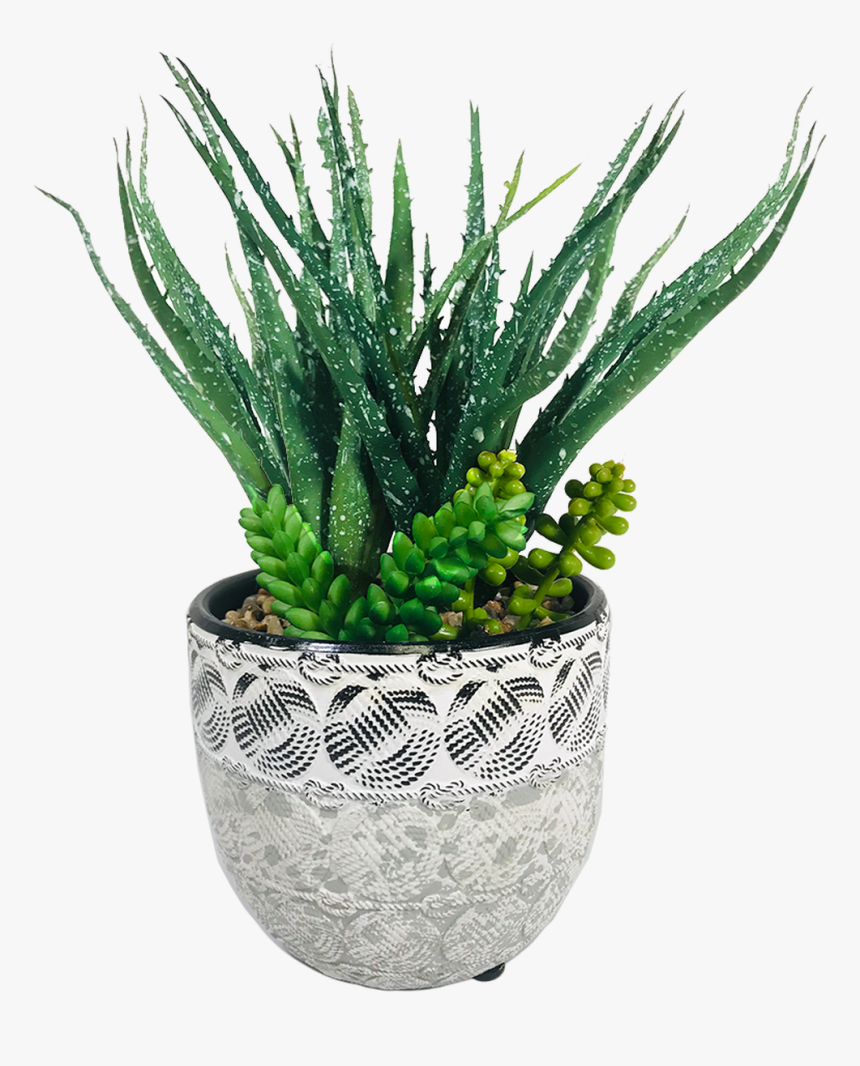 Flowerpot, HD Png Download, Free Download